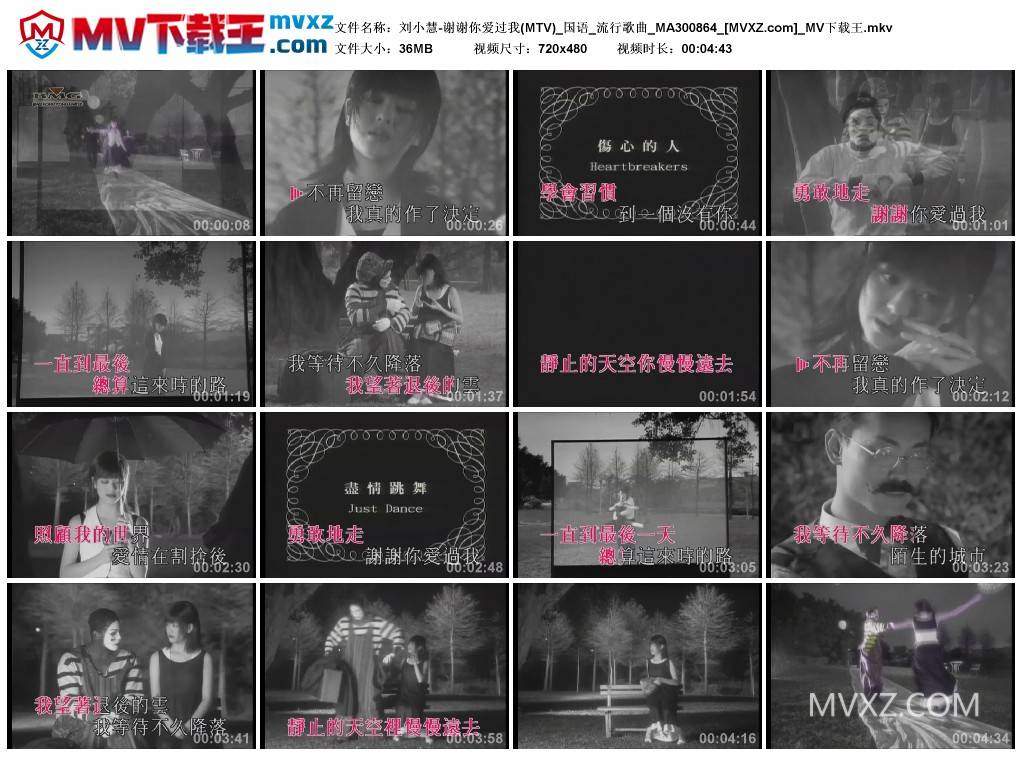 刘小慧-谢谢你爱过我(MTV)_国语_流行歌曲_MA300864